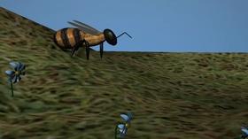 Video thumbnail: Broad and High Girls in Digital Animation, Honeyrun Farms