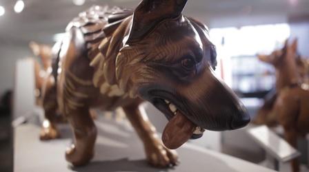 Video thumbnail: Broad and High Wounded Warrior Dogs Preview