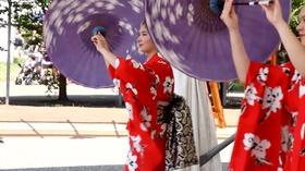 Video thumbnail: Columbus Neighborhoods Columbus Neighborhoods: New Americans Preview