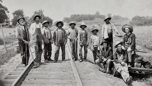 Latin American Migration
