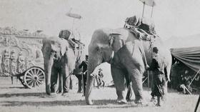 Video thumbnail: Columbus Neighborhoods Sells Brothers Circus