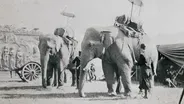 Sells Brothers Circus