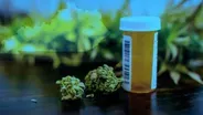 Where Medical Cannabis Dispensarys Can Set Up Shop