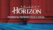 Live Election Special 2024 preview
