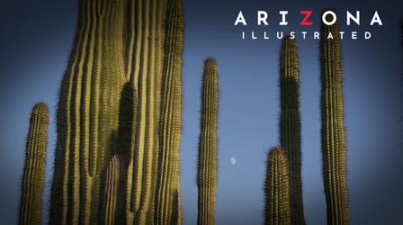 Video thumbnail: Arizona Illustrated AZPM Emmy special