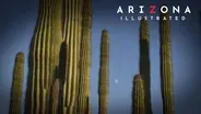 AZPM Emmy special