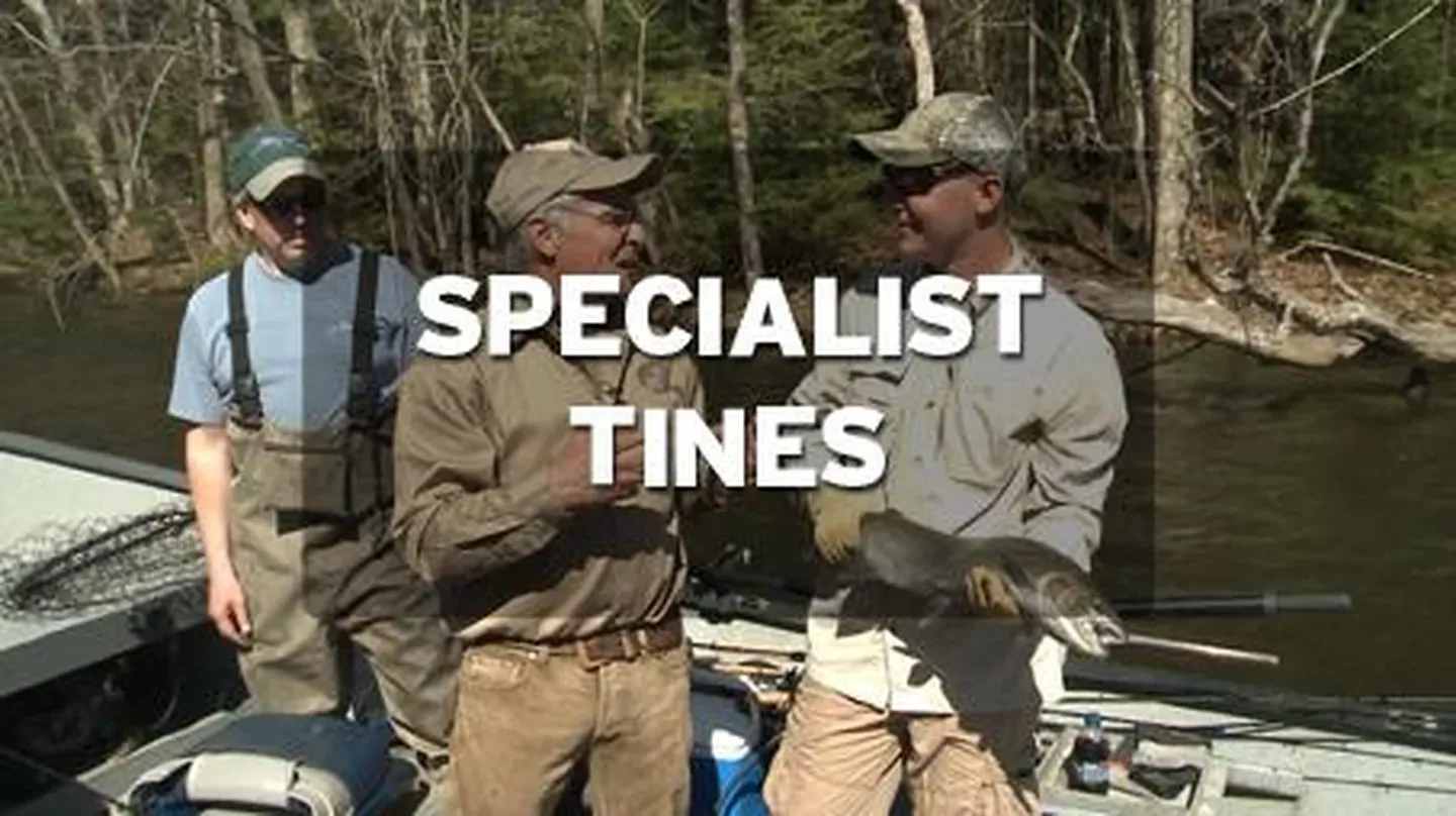 Specialist Tines