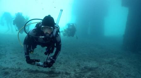 Video thumbnail: Changing Seas Beneath the Bridge