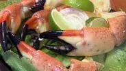 Captain Jim's Seafood Market and Restaurant