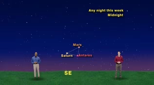 "The Great Midnight Triangle Fest" May 9-15th 1 Min 