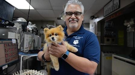 Video thumbnail: Your South Florida Your Story: Holistic Veterinarian