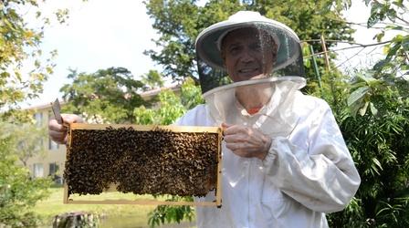 Video thumbnail: Your South Florida Your Story: Backyard Beekeeper