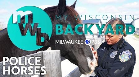 Video thumbnail: My Wisconsin Backyard Police Horses