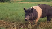 Deutsch Family Farm