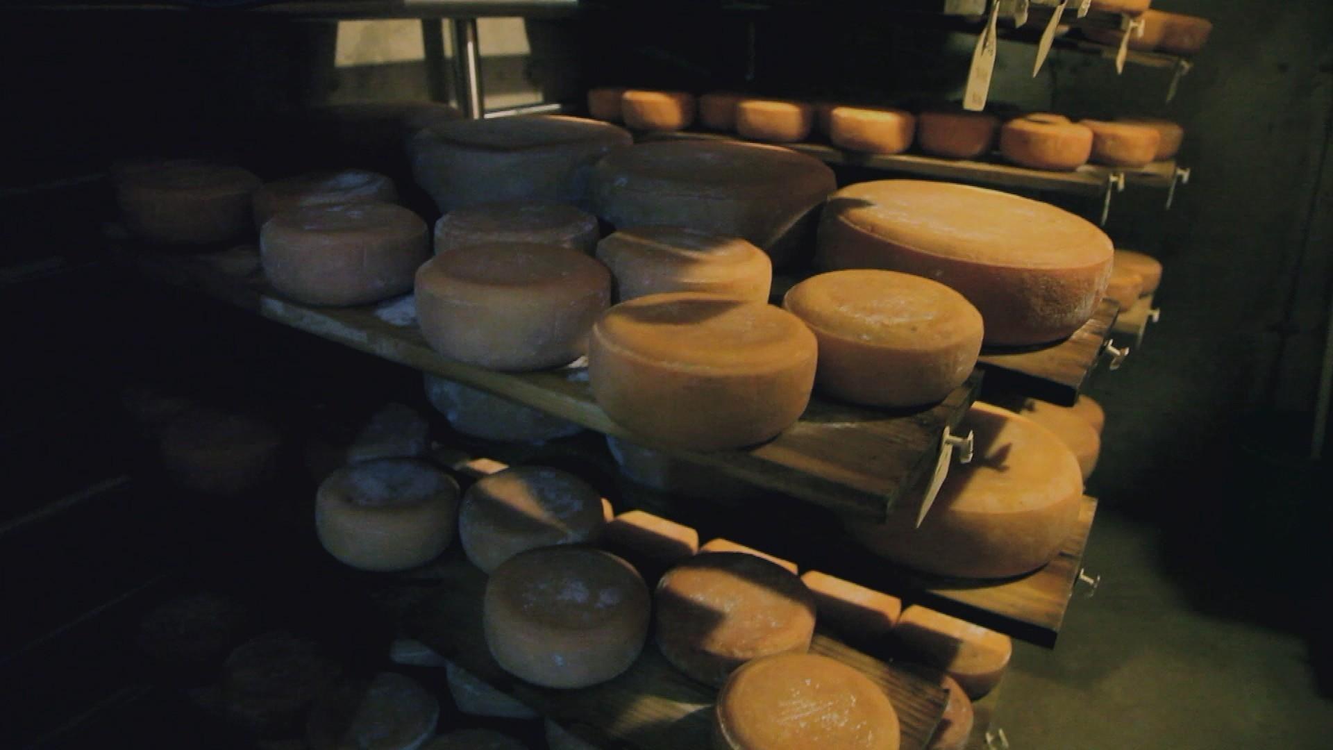 Hidden Springs Creamery