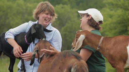 Video thumbnail: Around the Farm Table Alice in Dairyland Reunion