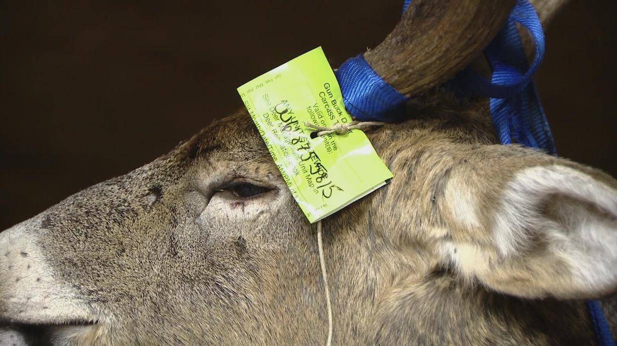 DNR Electronic Deer Registration System Starts First Season Watch on