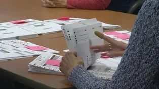 Stein Lawyer On Presidential Election Recount Effort