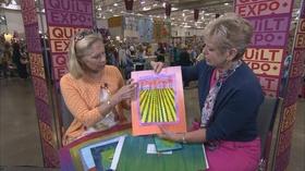 Video thumbnail: Sewing With Nancy Nancy's Corner - Frieda Anderson, Art Quilter