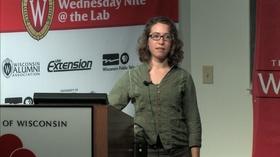 Video thumbnail: University Place Wisconsin's Wild Bees