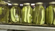 Fermentation