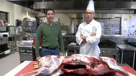 Video thumbnail: Wisconsin Foodie Deer Hunt | Butcher