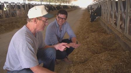 Video thumbnail: Wisconsin Foodie Crave Brothers Dairy