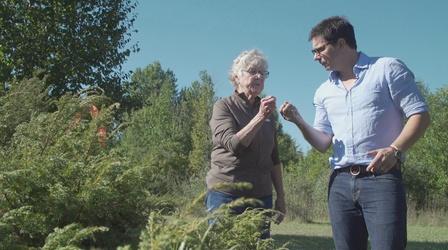 Video thumbnail: Wisconsin Foodie Death’s Door | Juniper Harvest