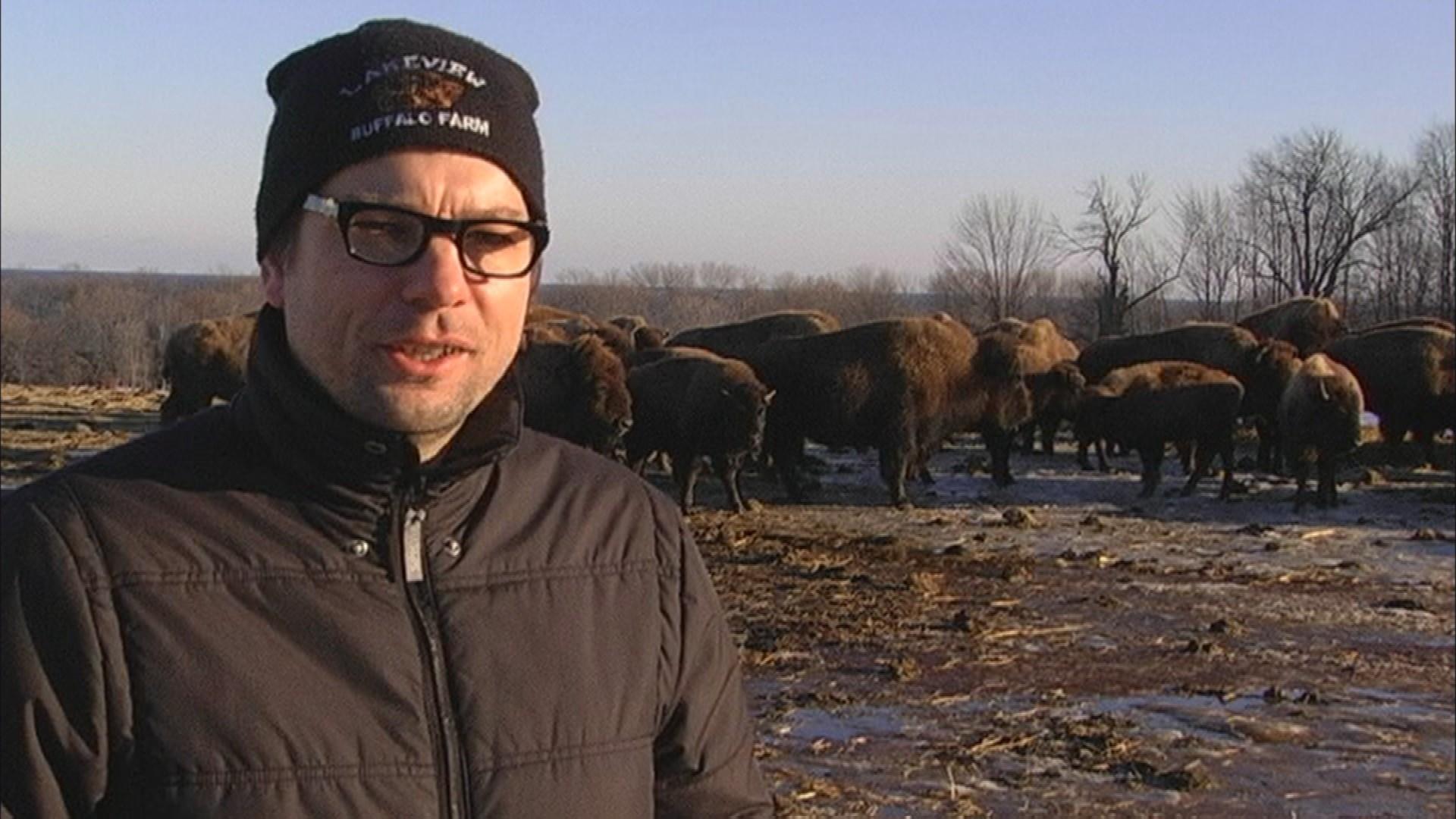 Lakeview Bison Farm
