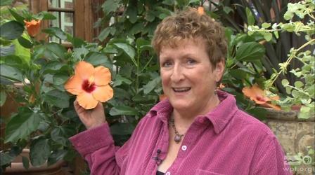 Video thumbnail: The Wisconsin Gardener Celebrating Shelley Ryan