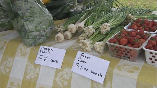 South Madison Farmers Market Has New >> Buy Local South Madison Farmers Market South Madison Farmers Market Has New >> Buy Local South Madison Farmers Market