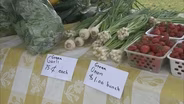 Buy Local: South Madison Farmers' Market