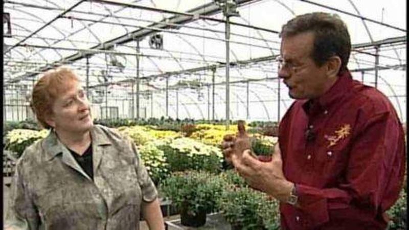 Vegetable Varieties for Containers – Wisconsin Horticulture