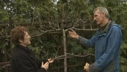 The Art of Espalier
