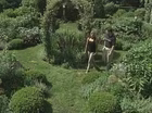 A Formal Garden