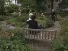 A Garden for the Elderly