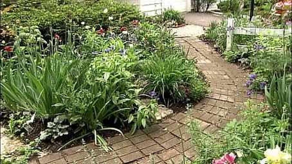Accessible Paths in the Garden image