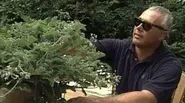 Gardening in the Dark