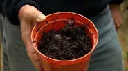 Composting Basics
