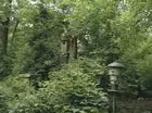 The Ultimate Bird Garden
