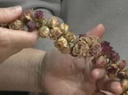 Creating With Dried Flowers