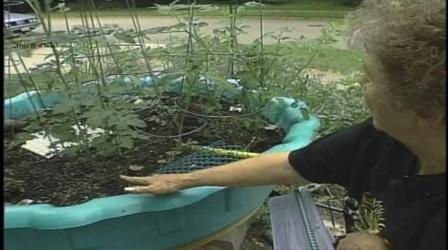 Video thumbnail: The Wisconsin Gardener Gardening From a Wheelchair: An Enabled Garden