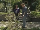 A Sidewalk Prairie