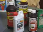 Pesticide Storage & Disposal