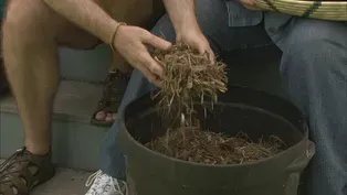 City Mulch - Is It Good for the Garden?