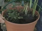 Creating a Portable Pond