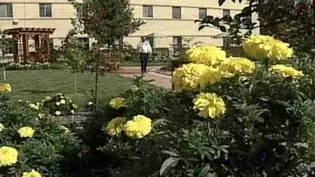 Baraboo Healing Garden