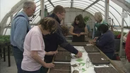Using Horticultural Therapy