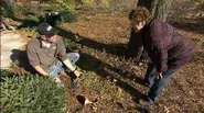 Landscape Lighting