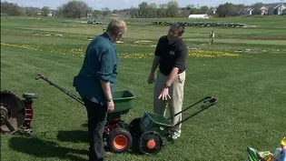 Growing a Healthy Lawn